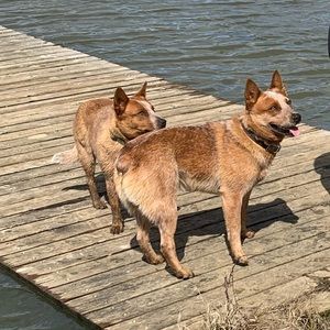 Meet your Posher, Mandy